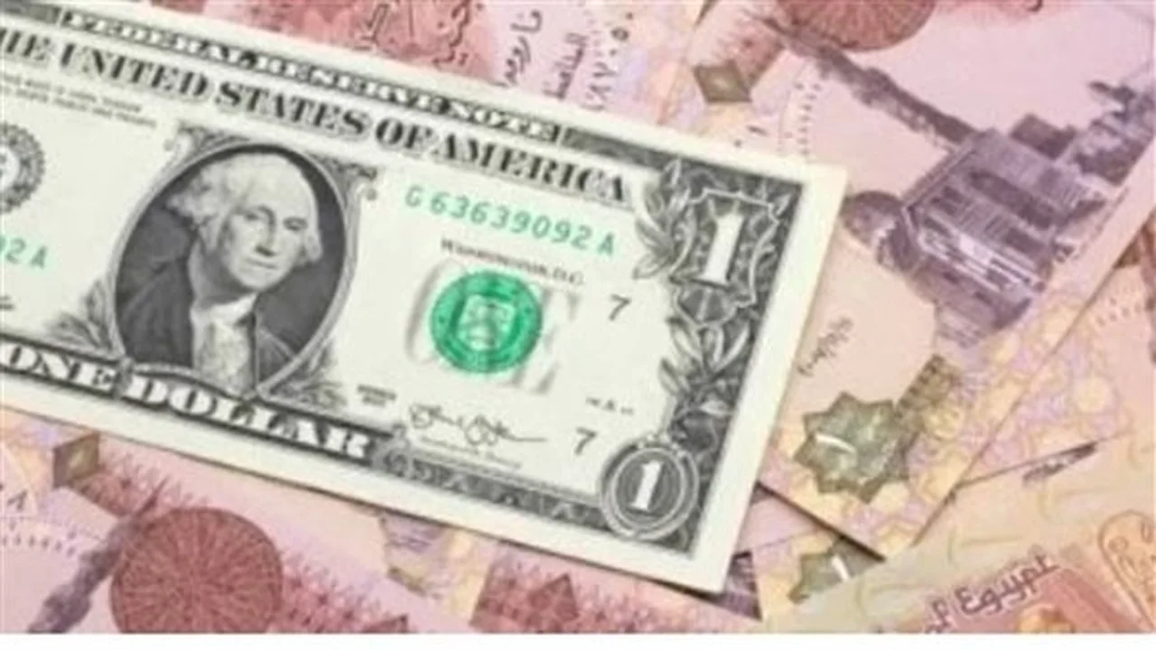 تغيرات سعر الدولار مقابل الجنيه في البنوك المصرية خلال تعاملات يوم الأحد